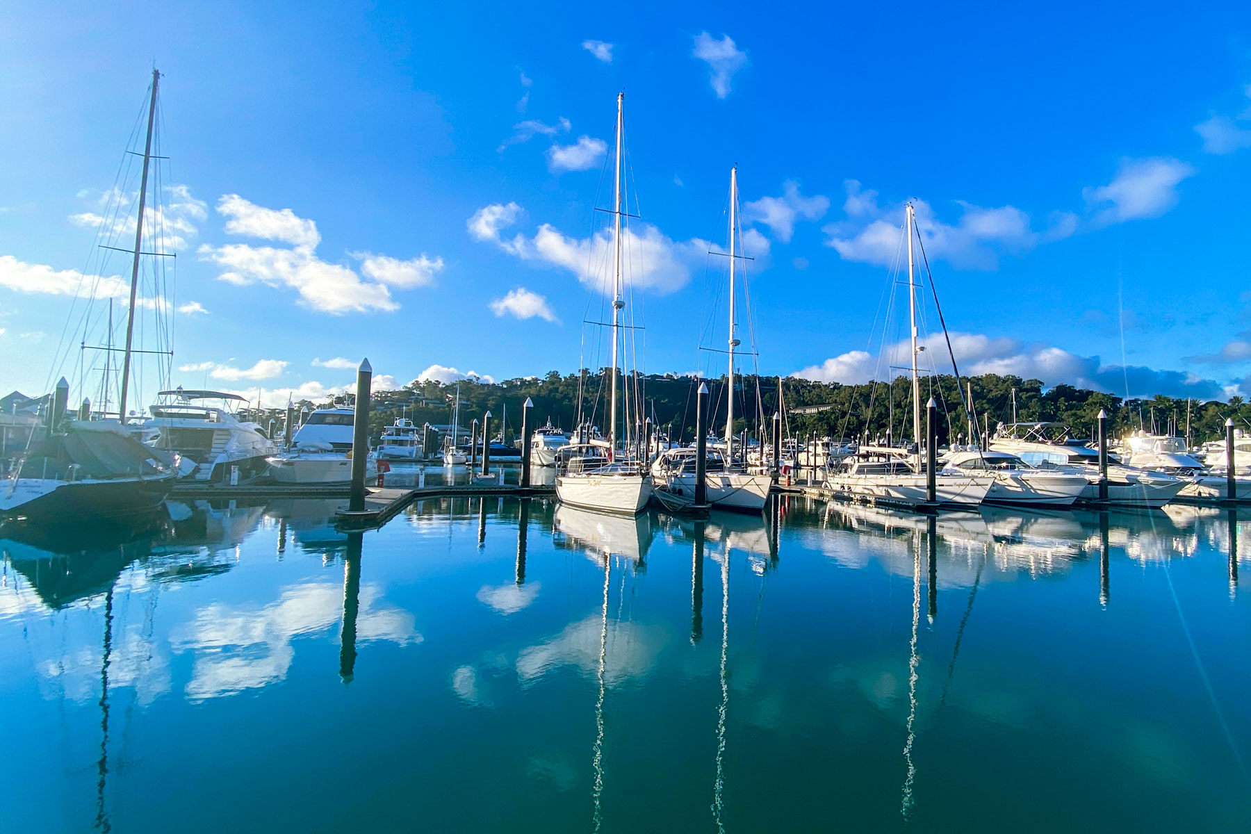 Hamilton Island Marina - Free to Explore