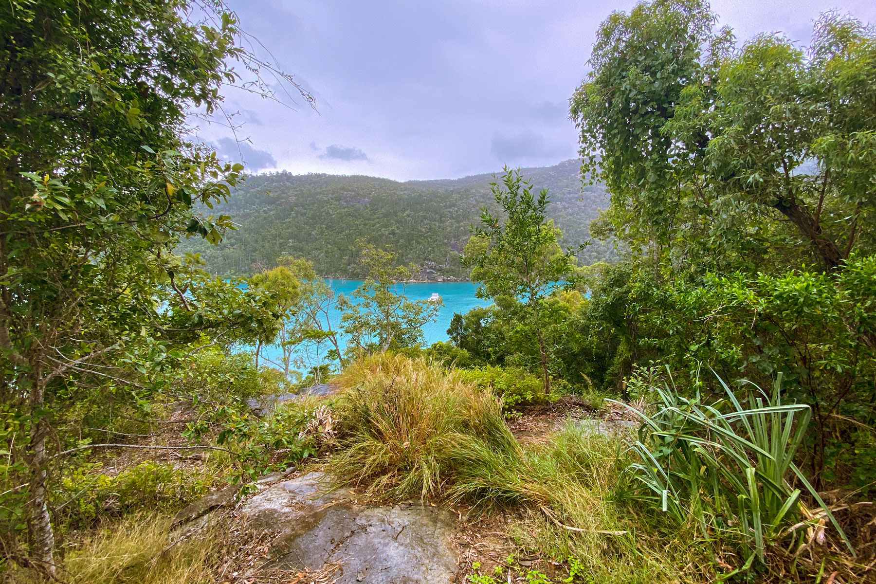 Nara Inlet Hook Island - Free to Explore