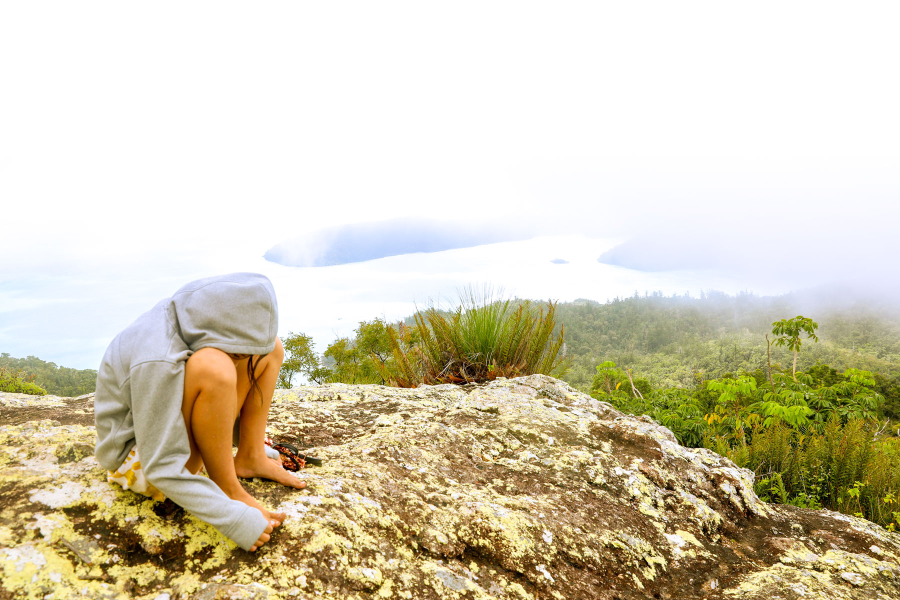 Whitsunday Peak Track - Free to Explore