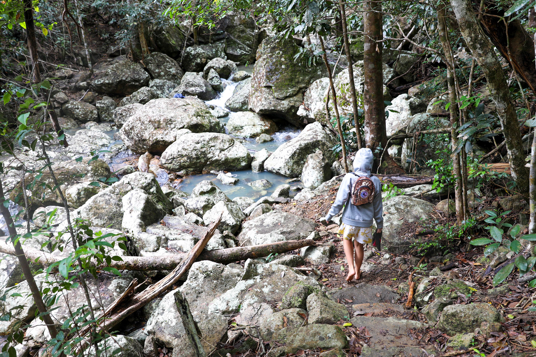 Whitsunday Peak Track - Free to Explore